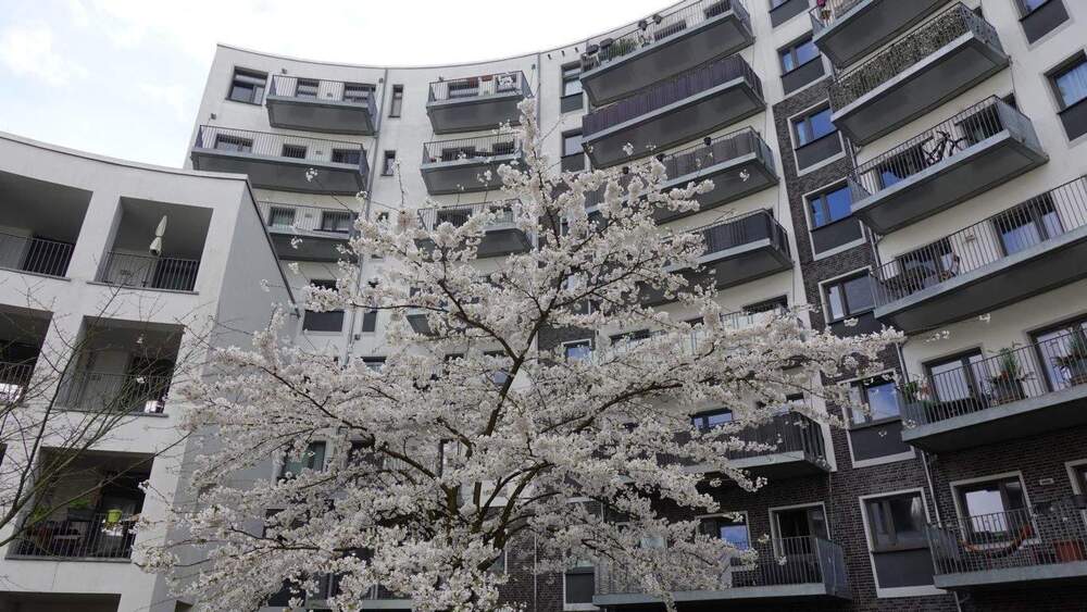 Etagenwohnung Düsseldorf Flingern Nord - 3 Zimmer, 85 m&sup2;, 1.410&euro; | Angebot:25645625