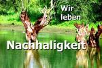 Gewerbeobjekt Essen Stadtkern - 29&euro; | Angebot:16217146