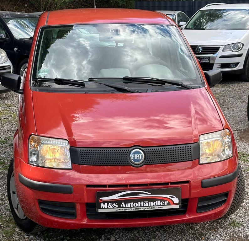 Panda