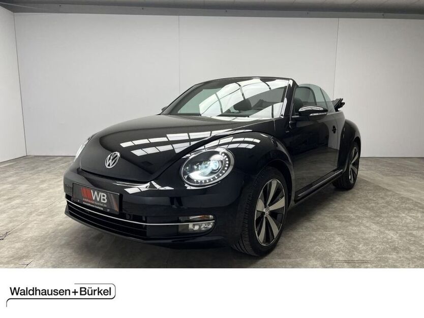 Beetle