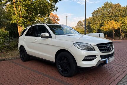 Mercedes-Benz ML 350 267.138 km 18.400 &euro; Duisburg 47169