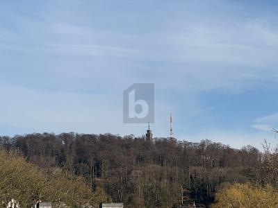 PERFEKTE WOHNLAGE UND UNVERBAUBARE FERNSICHT - Grundstück Velbert Langenberg | Angebot:27051880