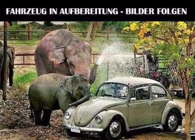 PT Cruiser