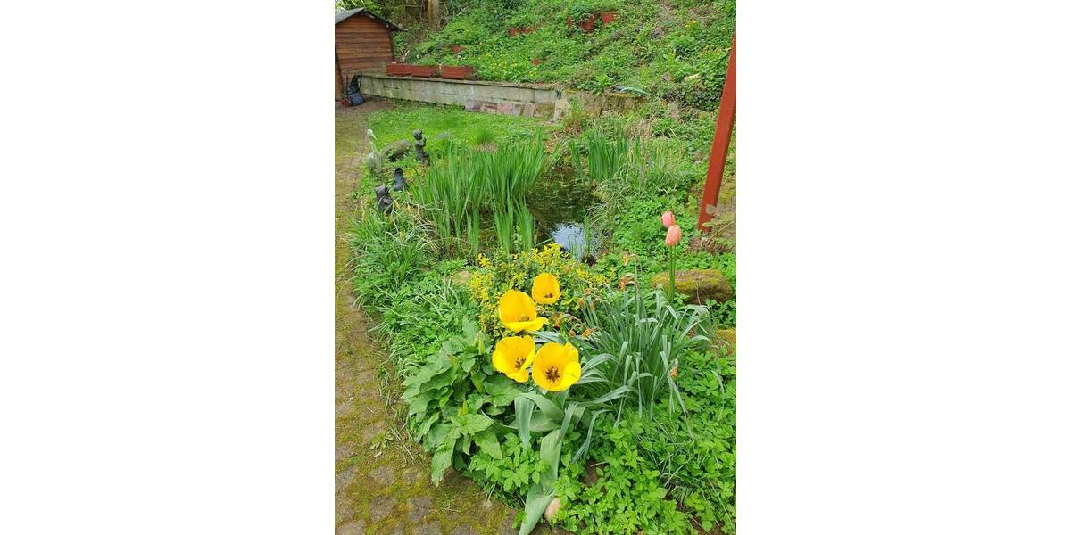 Mehrfamilienhaus, Wohnhaus Velbert Mitte - 9 Zimmer, 220 m&sup2;, 579.000&euro; | Angebot:24873220