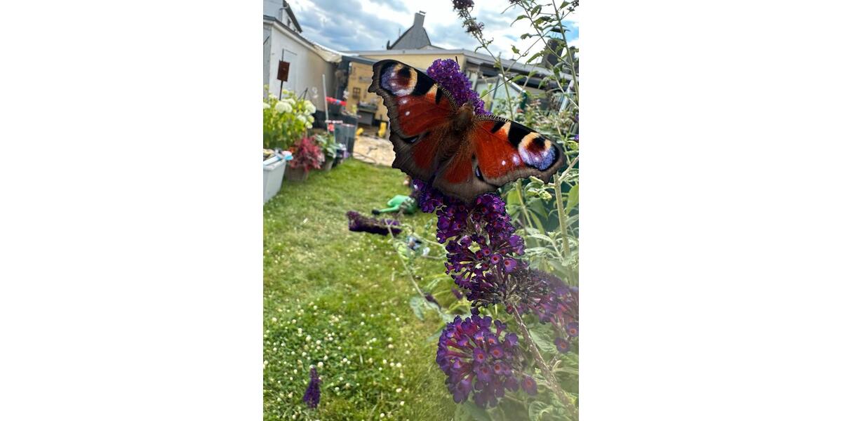 Doppelhaushälfte zu Verkaufen 5 zimmer