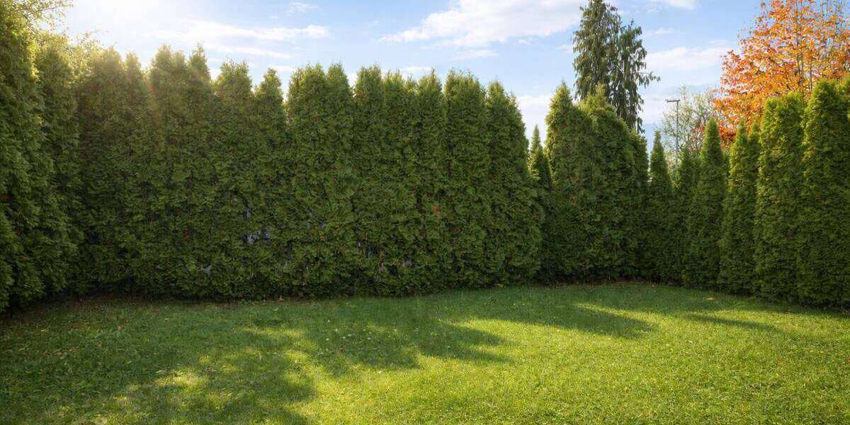 Etagenwohnung Meerbusch / Osterath Osterath - 3 Zimmer, 99 m&sup2;, 459.000&euro; | Angebot:24466261