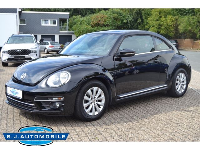 Beetle