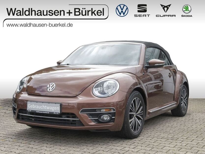 Beetle