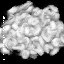 Holle! 30.01.2026 Opernhaus Düsseldorf