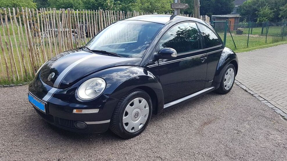 Beetle