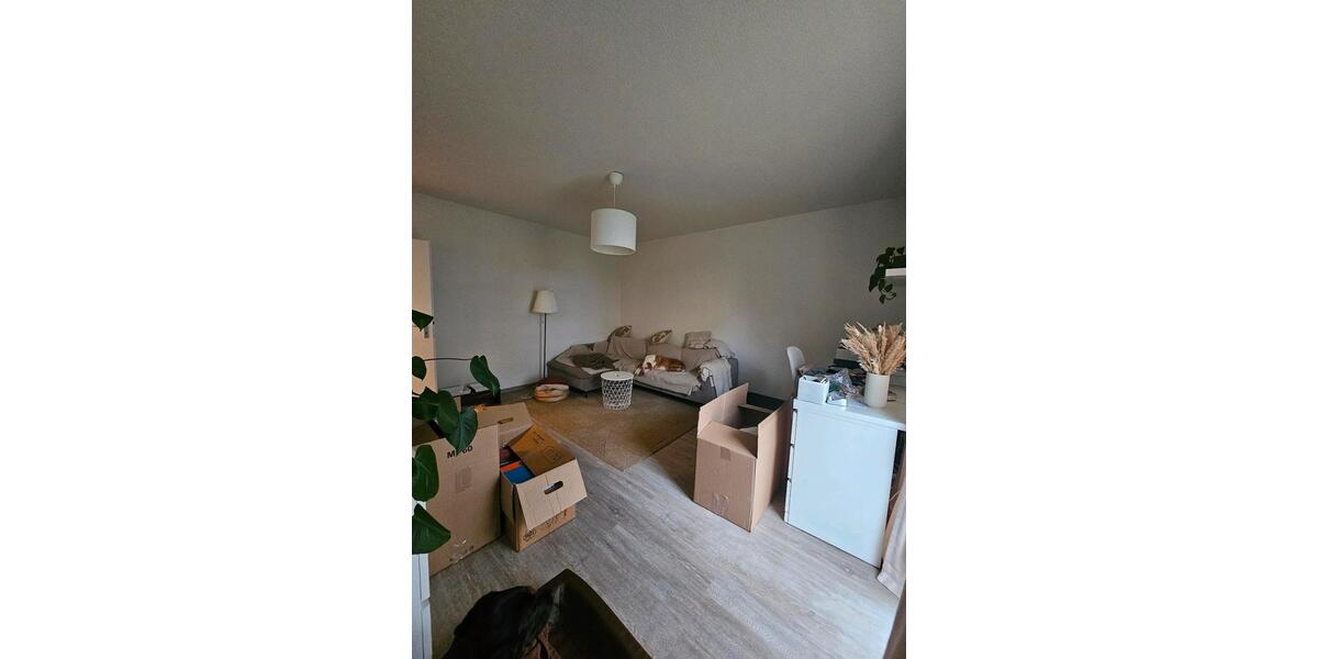 Erdgeschoßwohnung Heiligenhaus - 2 Zimmer, 52 m&sup2;, 568&euro; | Angebot:25179132