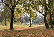 DIREKT AM SCHÖNWASSERPARK: HOCHWERTIGE 2-Zimmer-Wohnung ZU MIETEN!