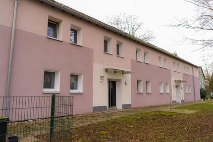 Wohnung Gladbeck - 1.5 Zimmer, 41 m&sup2;, 301&euro; | Angebot:26343767