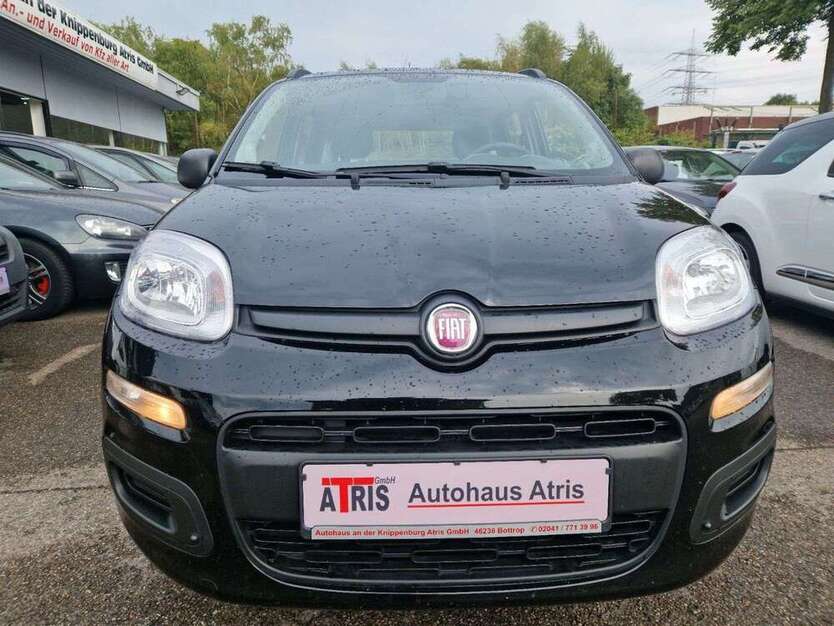 Panda
