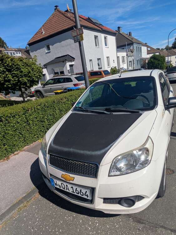Aveo