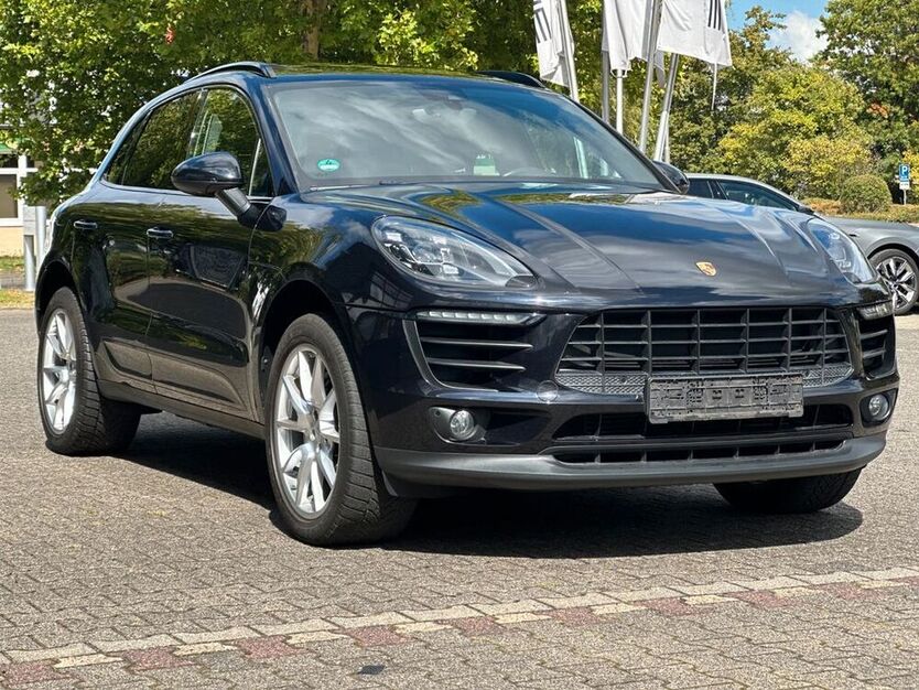Macan