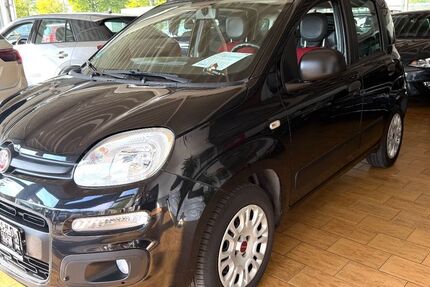 Fiat Panda 60.800 km 6.999 € Gladbeck 45966