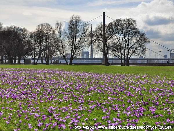 Wohnung zum Kaufen in Düsseldorf 3.800.000 € 274 m²