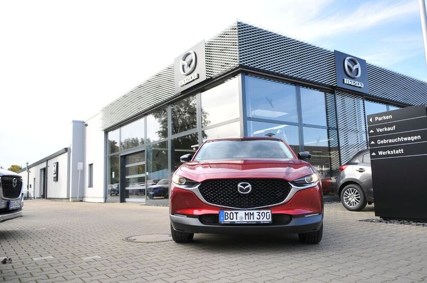 CX-30