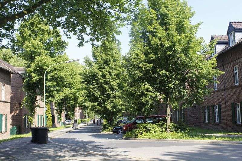 Wohnung zum Mieten in Gelsenkirchen 406,75 € 71.36 m²