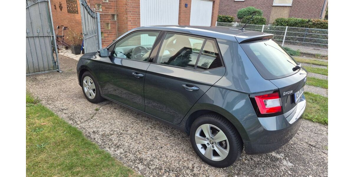 Skoda Fabia 99.000 km 8.950 &euro; Wesel 46485