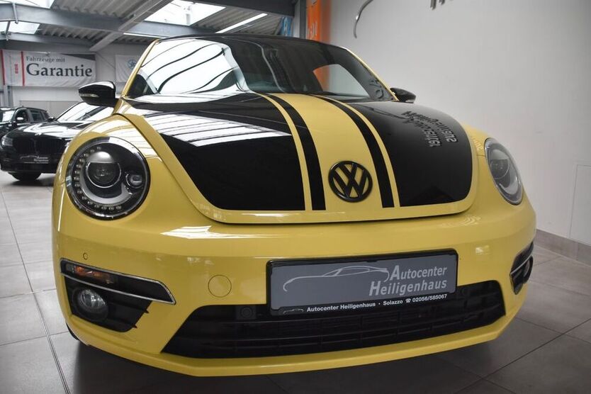 Beetle