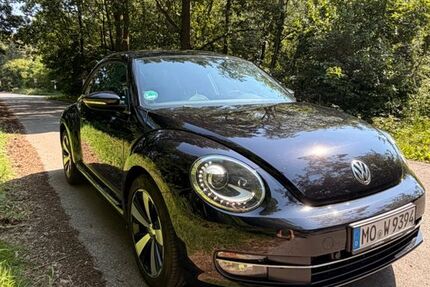 VW Beetle 98.076 km 10.099 &euro; Kamp-Lintfort 47475