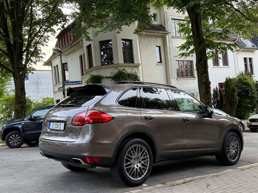 Cayenne