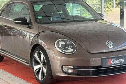 VW Beetle