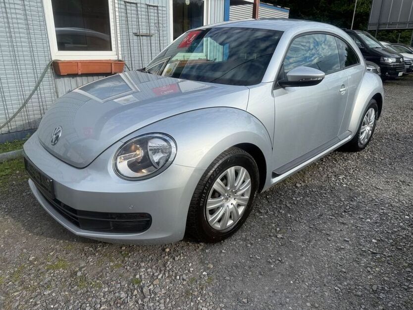 Beetle