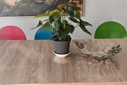 Wohnung Neuss Augustinusviertel - 5 Zimmer, 130 m&sup2;, 650&euro; | Angebot:24514721