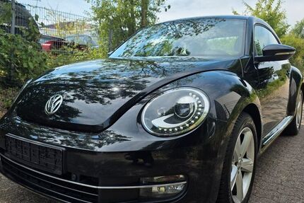 VW Beetle