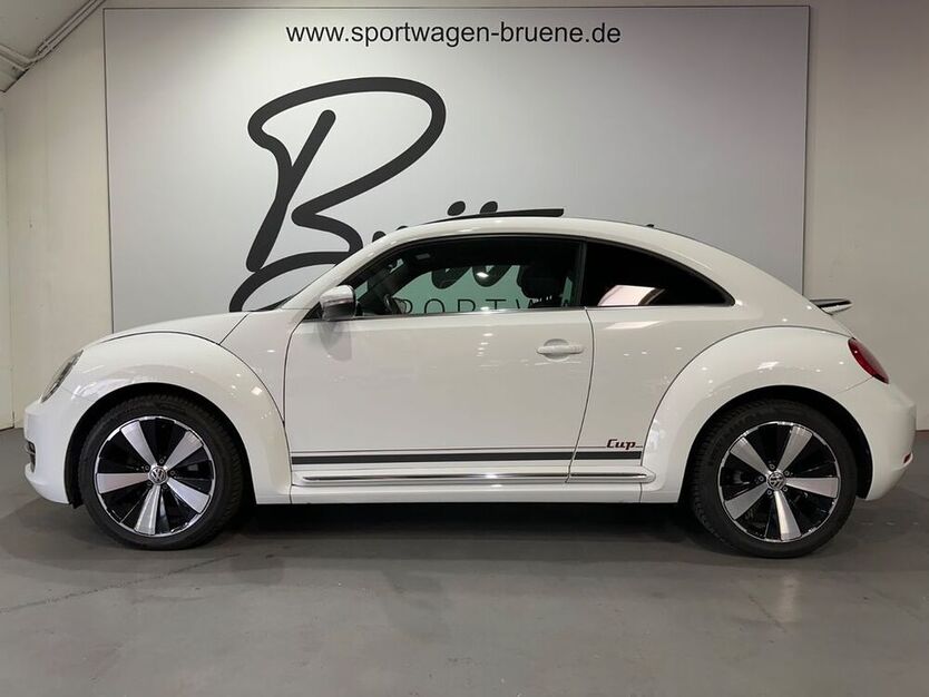 Beetle