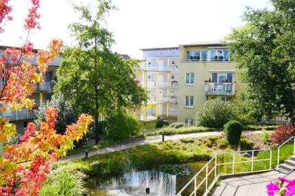 Wohnung zum Mieten in Wuppertal 510 € 36.05 m² 1 zimmer