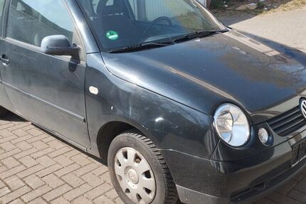 VW Lupo