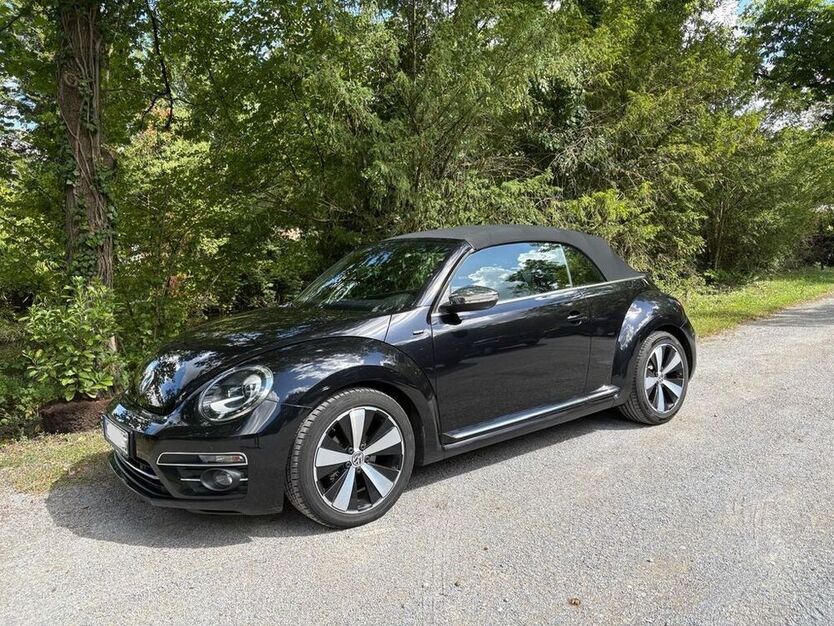 Beetle