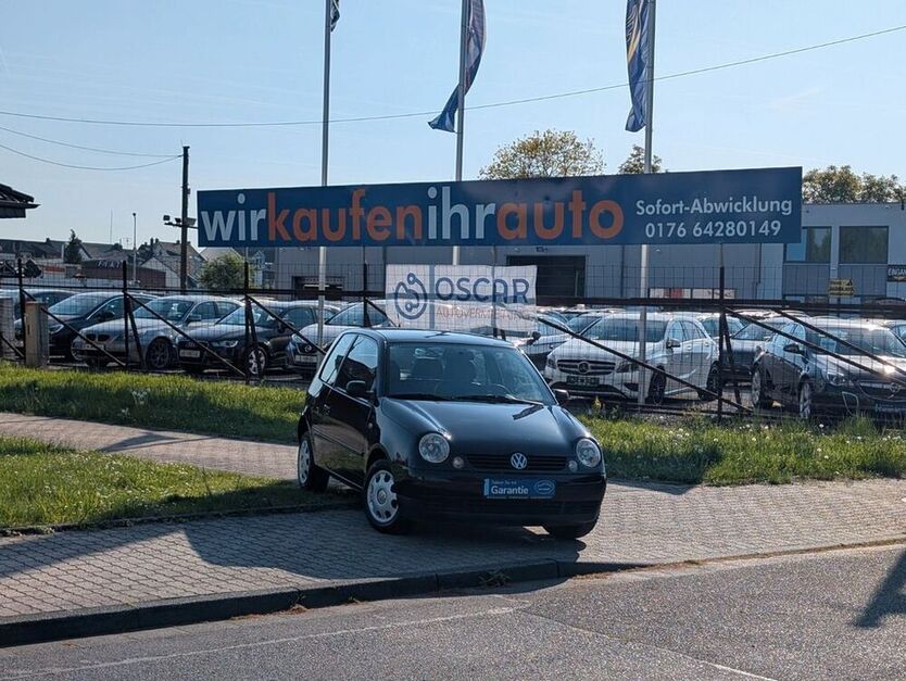 Lupo