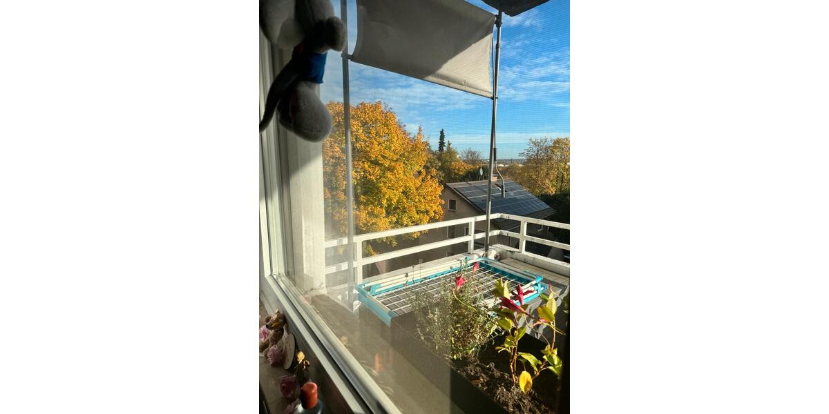 Wunderschöne lichtdurchflutete 3-Zimmer Wohnung 3 zimmer