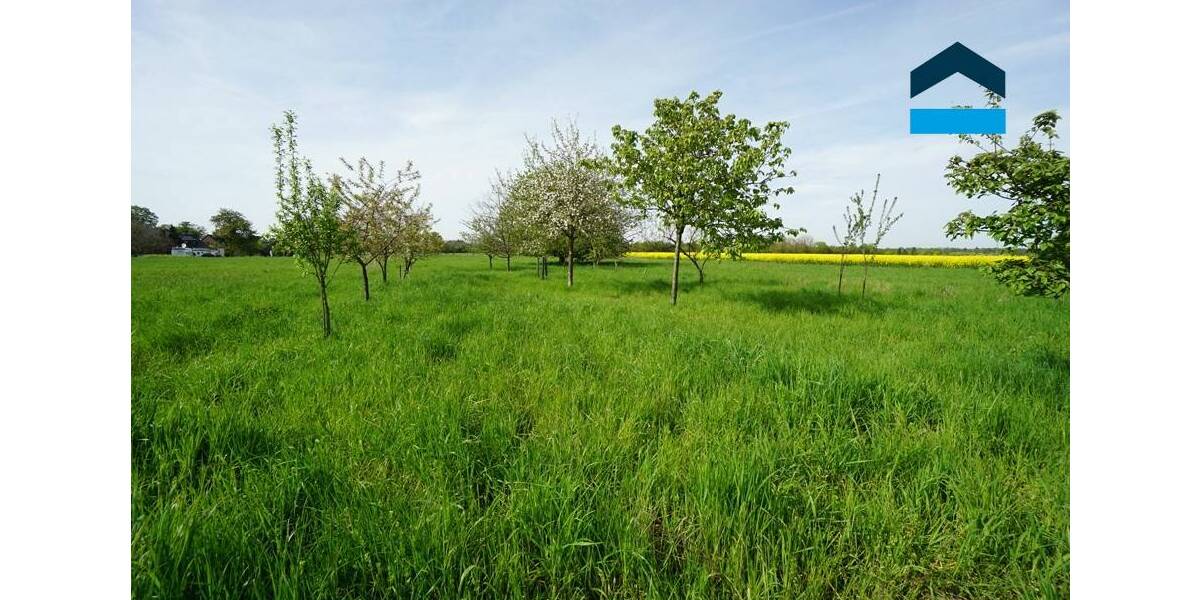 Mehrfamilienhaus, Wohnhaus Kamp-Lintfort Hoerstgen - 8 Zimmer, 360 m&sup2;, 790.000&euro; | Angebot:23972072