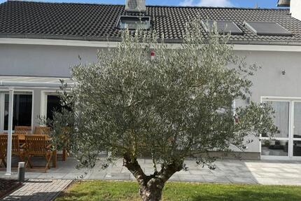 Familienfreundles Einfamilienhaus im Grünen, Erdwärme A+ zimmer