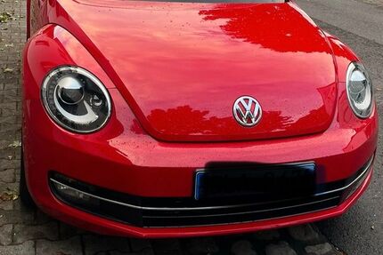 VW Beetle