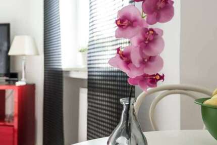 Zimmer Düsseldorf Derendorf - 2 Zimmer, 1.600&euro; | Angebot:26887559