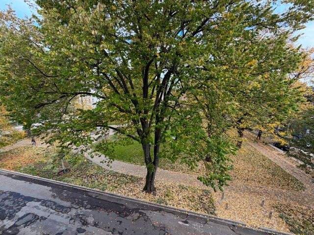 Gut aufgeteilte Single-Wohnung mitten in der Gladbacher City! 2 zimmer