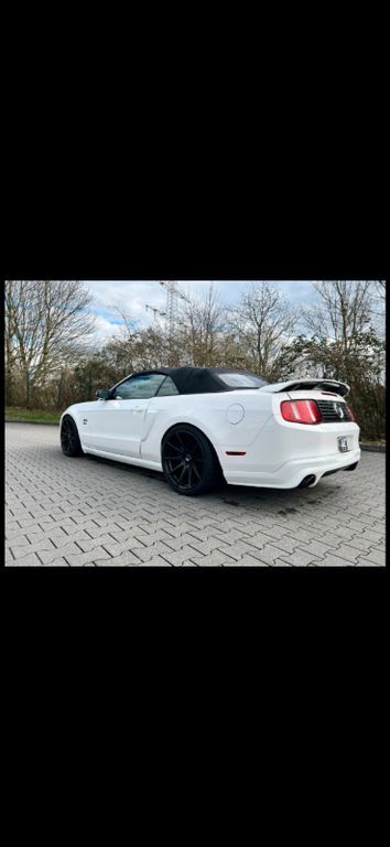 Mustang