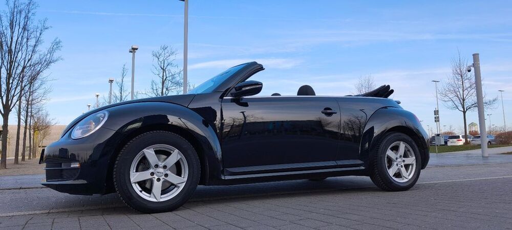 Beetle
