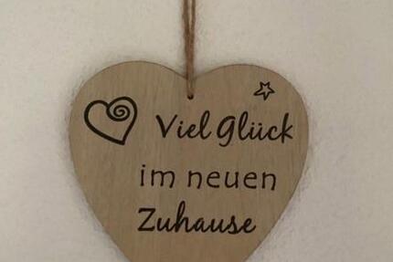 Single Wohnung renovierungsbedürftig,ab sofort frei ! zimmer