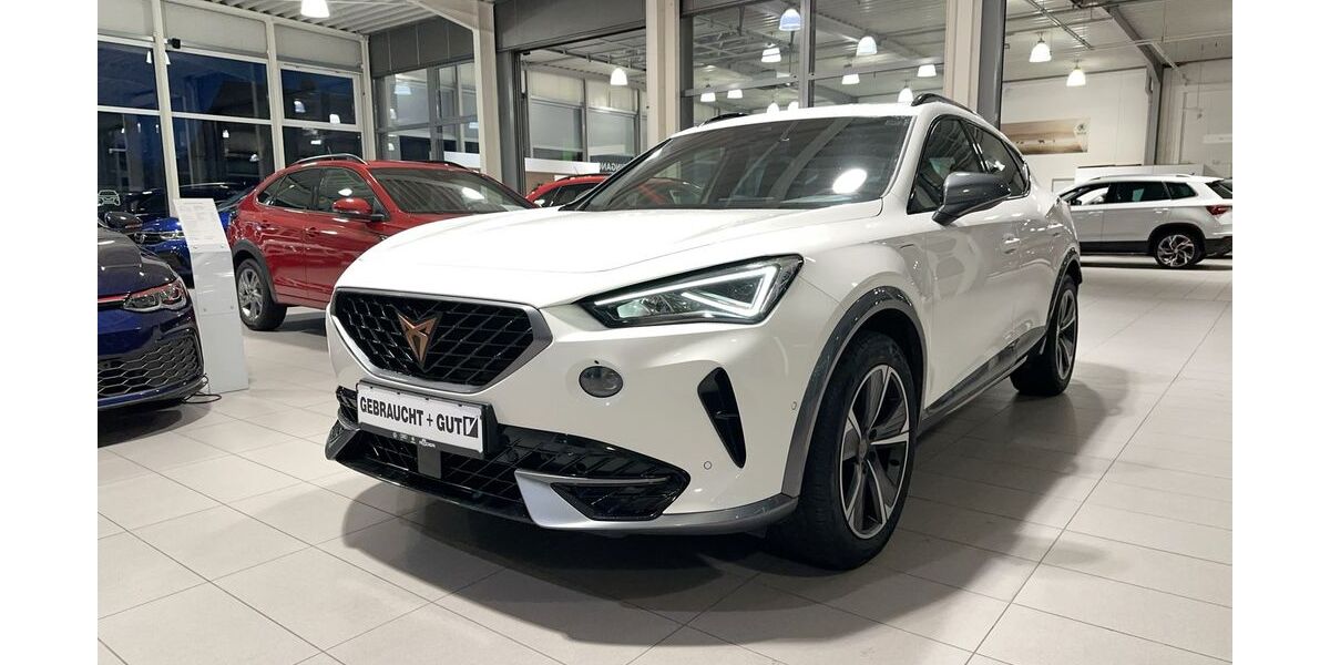 Cupra Formentor 59.130 km 24.990 &euro; Hünxe 46569