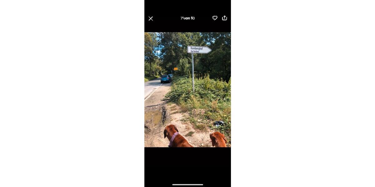 Mehrfamilienhaus, Wohnhaus Essen Stadtbezirk VII - 20 Zimmer, 570 m&sup2;, 1.600.000&euro; | Angebot:25612813