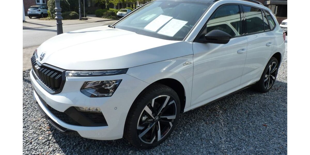 Skoda Kamiq 5.000 km 35.698 &euro; Issum-Sevelen 47661