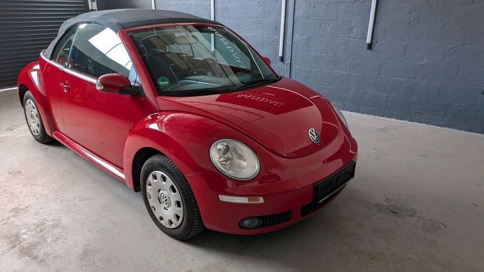 Beetle